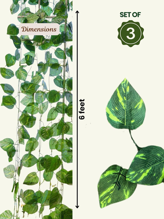 Greens Artificial Money Plant Vine | Realistic Money Plant Creeper for Wall Hanging, Door, Balcony & Home Office Decor | Artificial Green Hanging Vines for Decoration & Festival - Set of 3